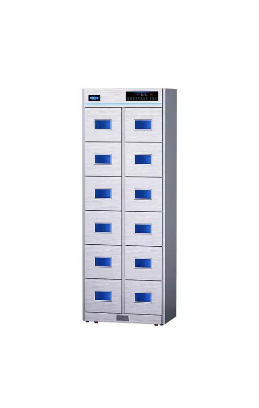 Дезинфектор KLENZ KNS620