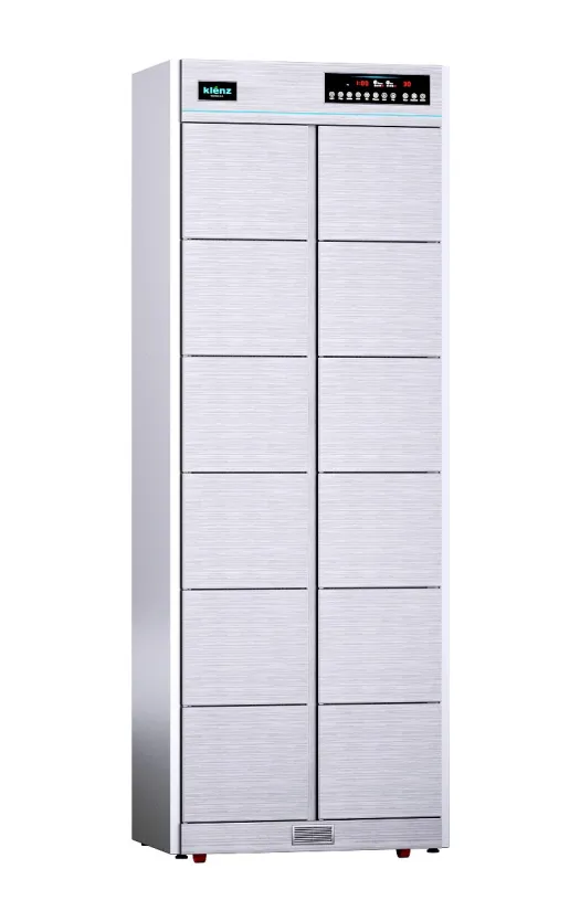 Дезинфектор KLENZ KNS620