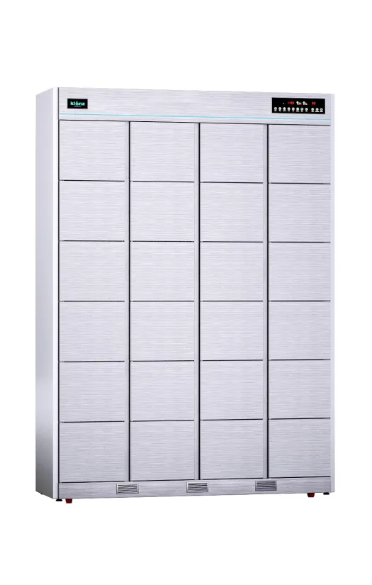 Дезинфектор KLENZ KNS640