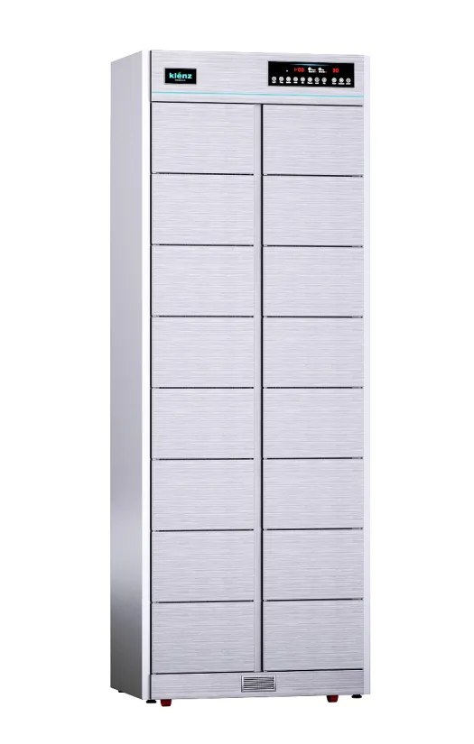 Дезинфектор KLENZ KNS820