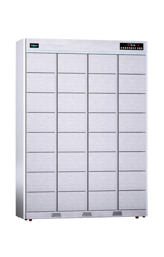 Дезинфектор KLENZ KNS840