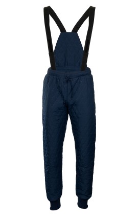 Брюки утепленные «Фридж-2» синие