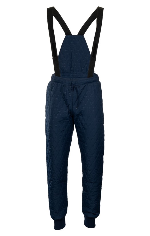 Брюки утепленные «Фридж-2» синие