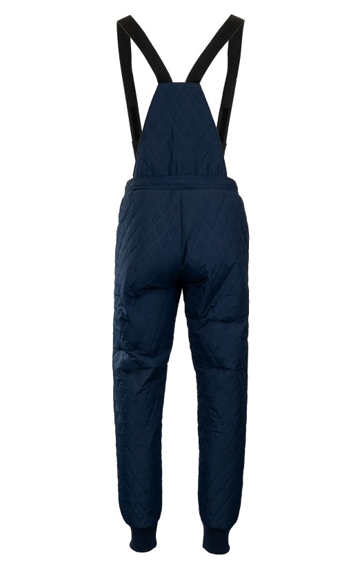 Брюки утепленные «Фридж-2» синие