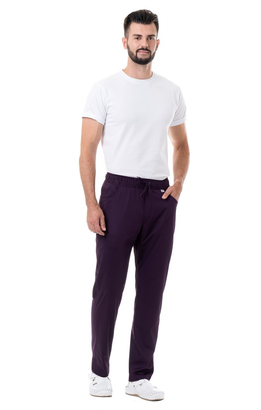 Брюки мужские «Стэн» сливовые