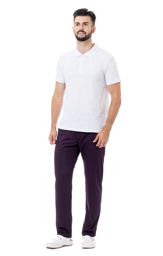 Брюки мужские «Стэн» сливовые