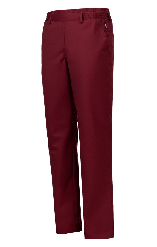 Брюки мужские летние «Ультра» бордовые, ХАССП