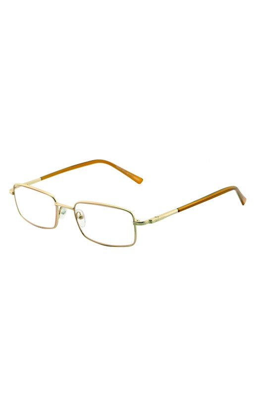 Очки защитные открытые O13 Favori Office Standart (Фавори Офис Стандарт) (11319/00) (оправа 4321)